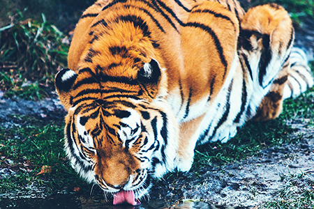 Waza – Aquarien und Tierparks